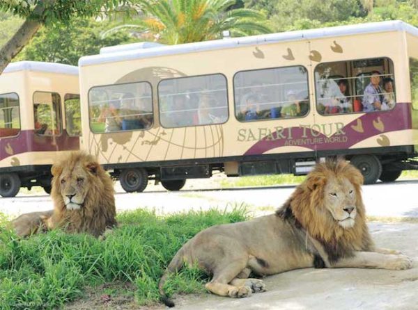 アドベンチャーワールド−ケニア号