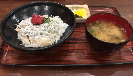 170501-シラス丼