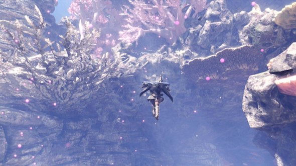 MHW-特殊装具
