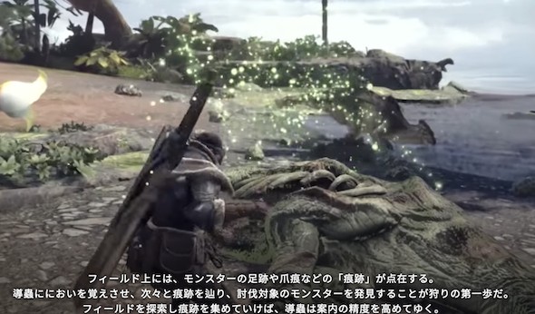 MHW-導蟲